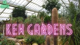 KEW GARDENS | London Walking Tour | Royal Botanic Gardens | 4K 60FPS