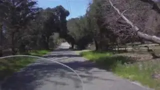 Best of Carmel Valley Road