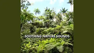 Graceful Bird Nature Sounds