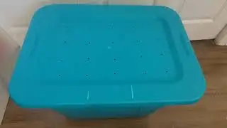 How To Make a Simple Pest Proof Worm Bin