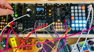 DNiPRO Modular &ldquo;DOT&rdquo; -  Robaux SWT16+ 3PT -  After Later Audio Cara+ O_C+ Tilt+ nRings