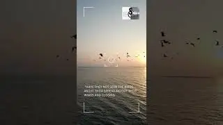#birds #flying #nature #quran #God #creation #magical #wings #flutter
