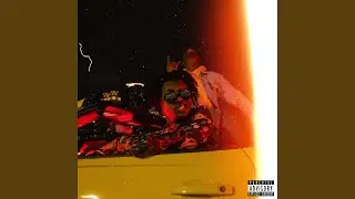 In the Whip