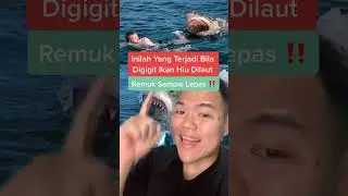 INILAH YANG TERJADI BILA KAMU DIGIGIT IKAN HIU!! | Auwepe #shorts