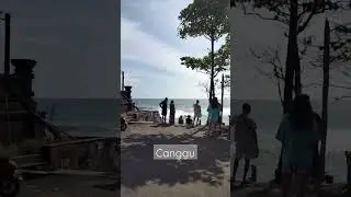 エコビーチ入り口・今の映像 #canggu #bali #バリ島 #チャングー #サーフィン #beach