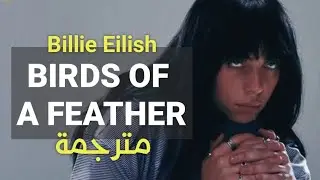 Billie Eilish - BIRDS OF A FEATHER/الطيور على أشكالها تقع (Lyrics) مترجمة