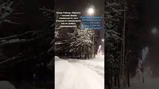 18 января 2025 г. #цитаты #сибирь #nature #quotes #snow #beautiful #life #зима #снег #шортс