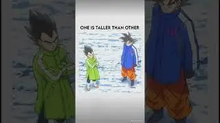 Are you goku and vegeta? #captainfun #anime