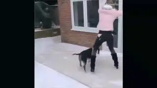 Try Not To Laugh Funny Fails 2019 | Best Fails 0f The Month.