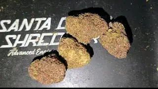 Str8Fire Raspberry Gelato Signature Line ┃ 🍓🍦┃ CRAZY THCA POTENCY! ┃ 🔥💨