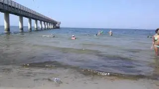 VID 20140729 160407
