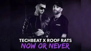 Techbeat X Roof Rats - Now Or Never ( Tom Novy )