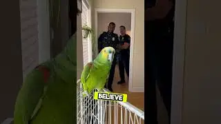 Parrot Interrogated by Police Officers | Real Home Footage 2025 🦜👮&zwj;♂️😂