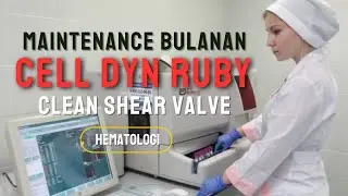 CLEAN SHEAR VALVE CELL DYN RUBY