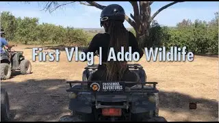 First Vlog | Addo Wildlife