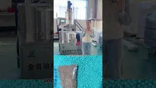 Tomato chili lettuce onion seed processing coating pelleting machine #seedprocessing #machine