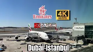 Exploring the Economy of the largest Emirates fleet A380-800 in aviation history 