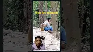 Monkey attack level: expert. Human survival: 0%.#funnyanimals #animals #pets #shorts