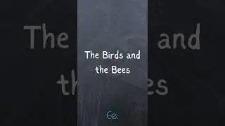 The Birds and the Bees 🐦🐝 What Does It Mean? by English explained #idioms #expression #phrases