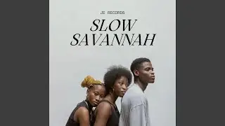 Silent Savannah Lights