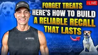 How to Build a Reliable Recall That Lasts 