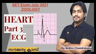 HEART Part 3 / ECG - SET Exam July 2021 - ZOOLOGY