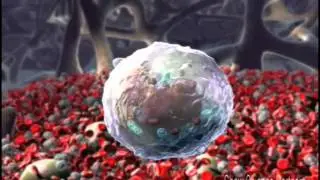 Thrombopoietin