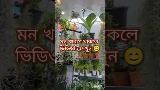 Motivation from Plant🥰😍 #short #gardening #motivation  #flower