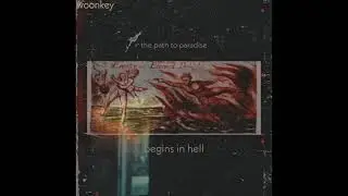 Woonkey - the path to paradise begins in hell