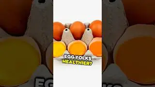 Egg Yolk Color Difference | Brittle Egg Shells | LiveLeanTV