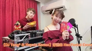 艾北 - 好运来 (HaoYunLai)┃Cover by Hayate Konno