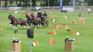 Driving Valkenswaard International 2018 Cones: Sebastian Hess