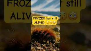 Top 5 Animals That Can Survive Being Frozen 🧊 (You Won&rsquo;t Believe #1!)