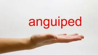 How to Pronounce anguiped - American English