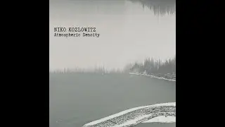 Niko Kozlowitz - Breaking Wave