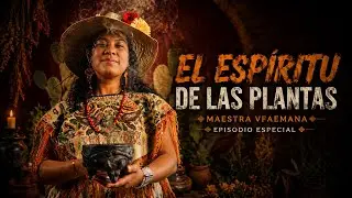 El LENGUAJE del COLOR en las PLANTAS | FAEMANA