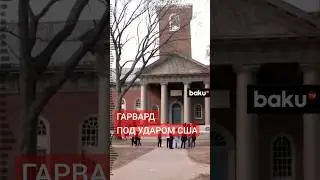 США приостанавливают финансирование Гарварда из-за обвинений в антисемитизме