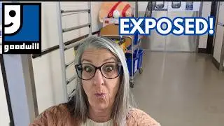 GOODWILL DIDN'T WANT THIS FILMED! | Reselling Thrift Haul