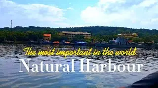 The most important natural harbour in the world | Nature world #harbour