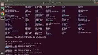 How To Setup Custom Addons Path In Odoo Server || Configure Custom Addons Path