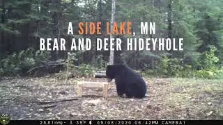 80 Acre Hunting Property For Sale Near Side Lake, MN!