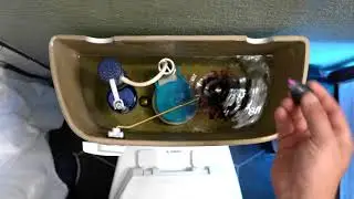 Matrix Plumbing 01 Toilet Leak using dye