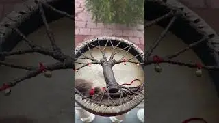 Shaman drum Tree of Life 12 inches