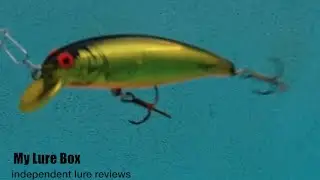Bomber Lures B14A B15A Lure Review + Underwater Action Gold - My Lure Box
