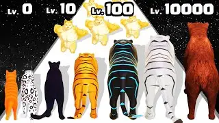 Cat Evolution Run  - Gameplay Level Up Animal Max Level New Update