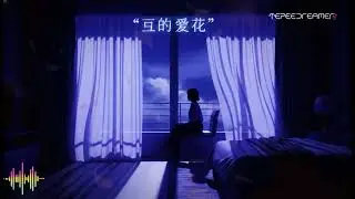 你的名字是我的夜 l Your Name Is My Night