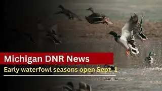 Michigan Waterfowl Early Season Hunting Essentials