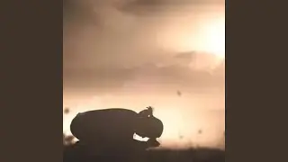 Pure Worship