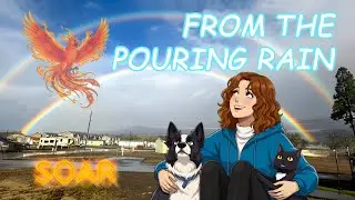 SOAR - From the Pouring Rain  (AI-assisted Music Video)