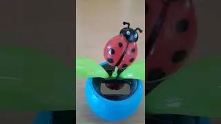 Toys#Божьякоровка#Shorts#solar battery#ladybug